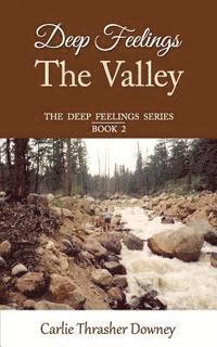 bokomslag Deep Feelings: The Valley: Book 2