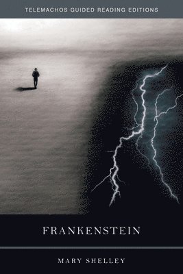Mary Wollstonecraft Shelley - Frankenstein, Häftad