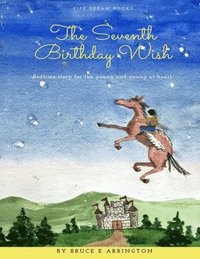 bokomslag Seventh Birthday Wish