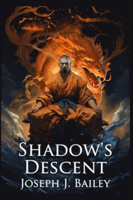 bokomslag Shadow's Descent