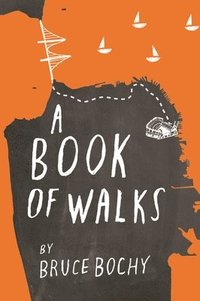 bokomslag A Book of Walks