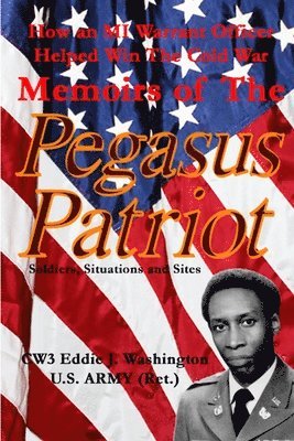 bokomslag Pegasus Patriot: Soldiers, Situations and Sites