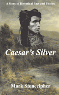 bokomslag Caesar's Silver