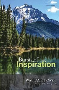 Bursts of Inspiration 1