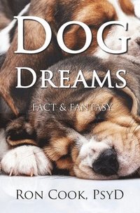 bokomslag Dog Dreams