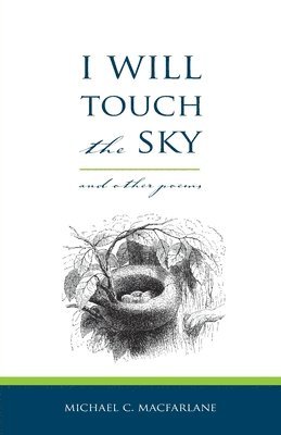bokomslag I Will Touch the Sky