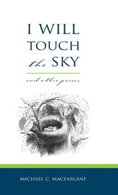 bokomslag I Will Touch the Sky