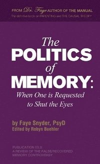 bokomslag Politics of Memory