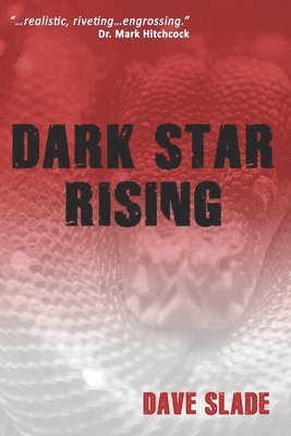 bokomslag Dark Star Rising