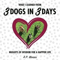 bokomslag What I Learned from 3 Dogs in 3 Days
