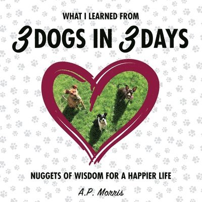 What I Learned from 3 Dogs in 3 Days 1
