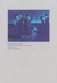 bokomslag Antiepithalamia