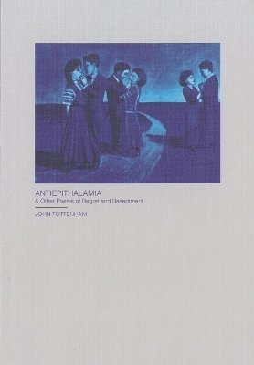 bokomslag Antiepithalamia