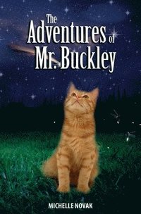 bokomslag The Adventures of Mr. Buckley