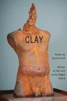 bokomslag Clay