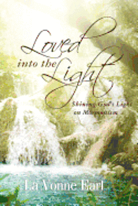 bokomslag Loved into the Light: Shining God's Light on Mormonism