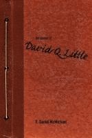 bokomslag The Journal of David Q. Little