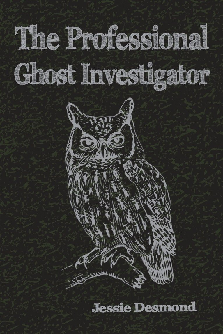 Professional Ghost Investigator 1