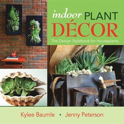 Indoor Plant Decor 1