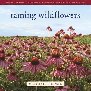 bokomslag Taming Wildflowers