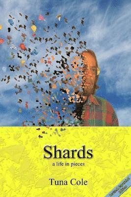 Shards a life in pieces 1