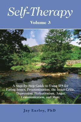 bokomslag Self-Therapy, Vol. 3: A Step-by-Step Guide to Using IFS for Eating Issues, Procrastination, the Inner Critic, Depression, Perfectionism, Ang