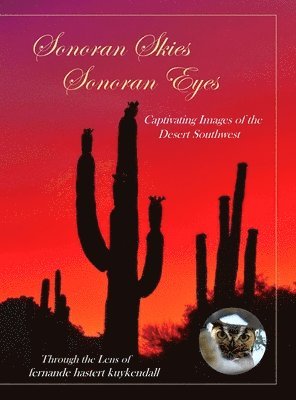 Sonoran Skies Sonoran Eyes 1