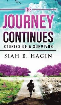 bokomslag The Journey Continues: Stories Of A Survivor