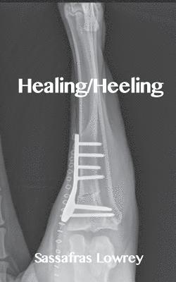 bokomslag Healing/Heeling