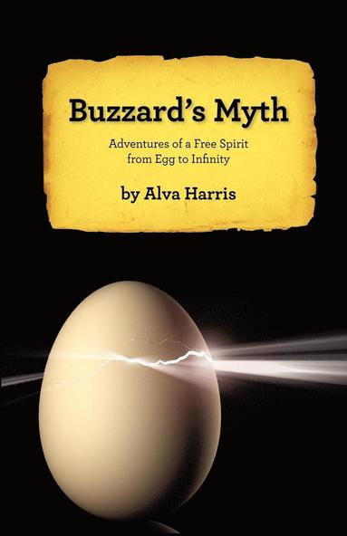 bokomslag Buzzard's Myth
