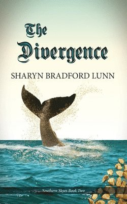 The Divergence 1