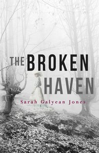 bokomslag The Broken Haven