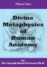 bokomslag Divine Metaphysics of Human Anatomy