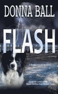Donna Ball - Flash, Häftad