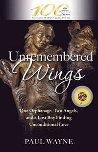 bokomslag Unremembered Wings