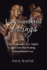 bokomslag Unremembered Wings