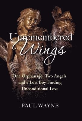 bokomslag Unremembered Wings