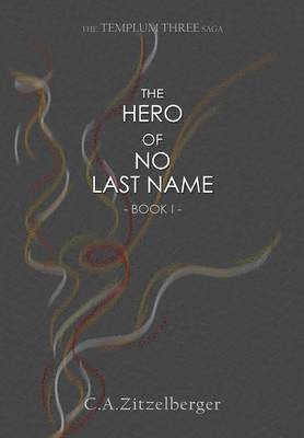 bokomslag Hero of No Last Name