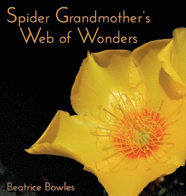 bokomslag Spider Grandmother's Web of Wonders