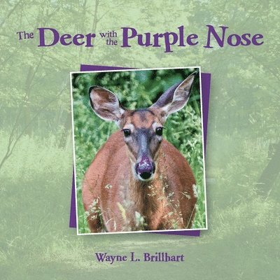 The Deer with the Purple Nose 1