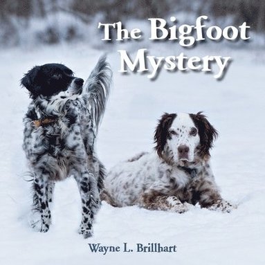 bokomslag The Bigfoot Mystery