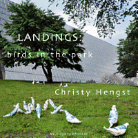 bokomslag Landings: birds in the park