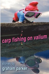 bokomslag Carp Fishing on Valium
