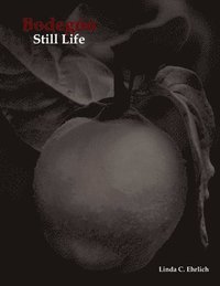 bokomslag Bodegon / Still Life