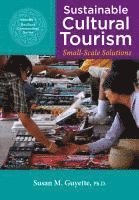 bokomslag Sustainable Cultural Tourism: Small-Scale Solutions