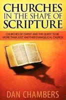 bokomslag Churches in the Shape of Scripture