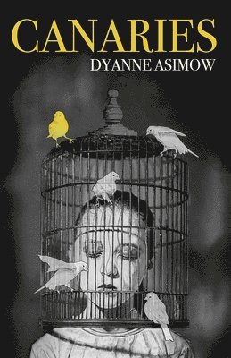 Dyanne Asimow - Canaries, Häftad