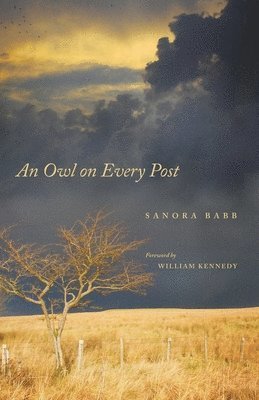 Owl on Every Post