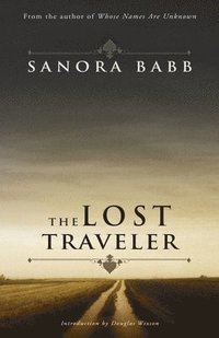 bokomslag The Lost Traveler