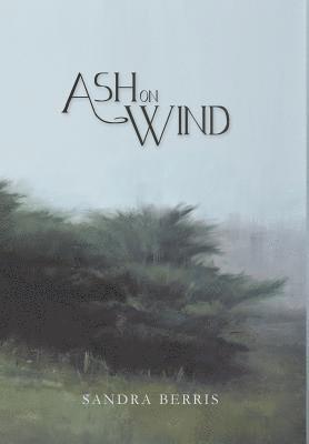 bokomslag Ash On Wind